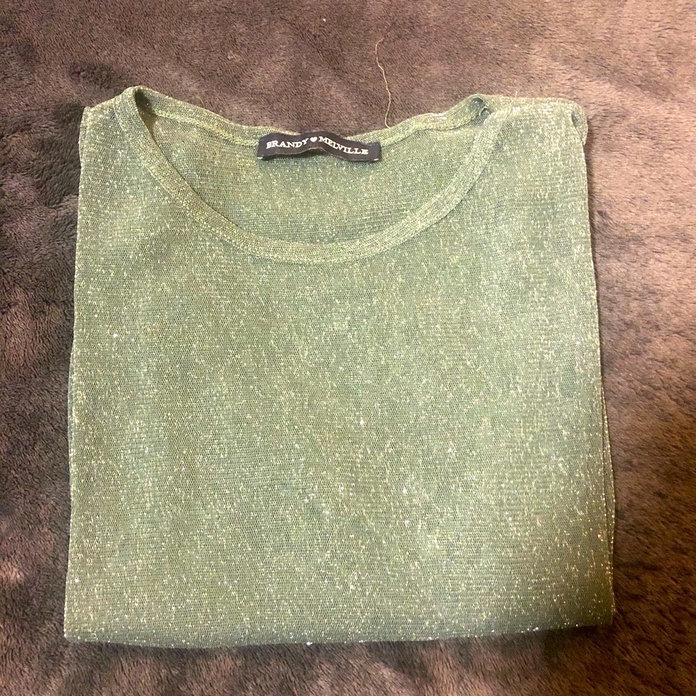 Brandy Melville sage Porter glitter top